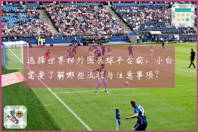 选择世界杯外围买球平台前，小白需要了解哪些流程与注意事项？