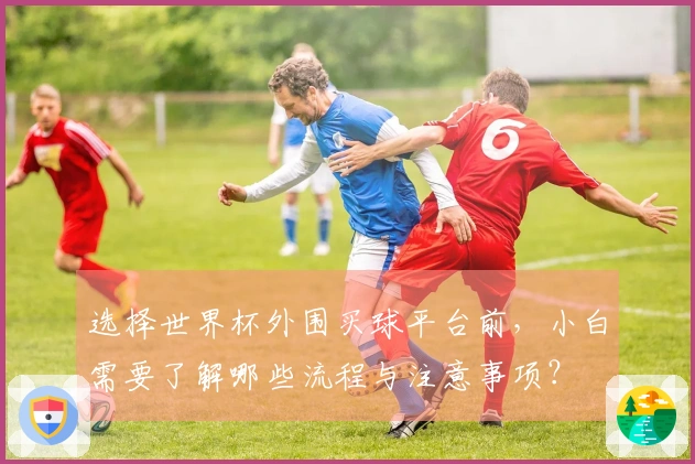 选择世界杯外围买球平台前，小白需要了解哪些流程与注意事项？