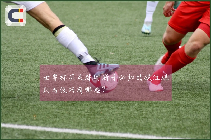 世界杯买足球时新手必知的投注规则与技巧有哪些？